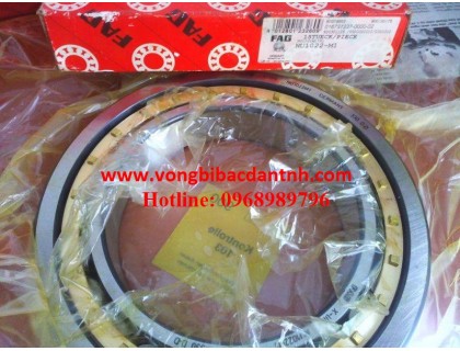 VÒNG BI-BẠC ĐẠN-Ổ BI FAG nu1004-nu1005-nu1006-nu1007-nu1008-nu1009-nu1010-nu1011-nu1012-nu1013-nu1014-nu1015-nu1016-nu1017-nu1018-nu1019-nu1020-nu1021-nu1022-NU1023-NU1024-NU1025-NU1026-NU1027-NU1028-NU1029-NU1030-NU1031-NU1032